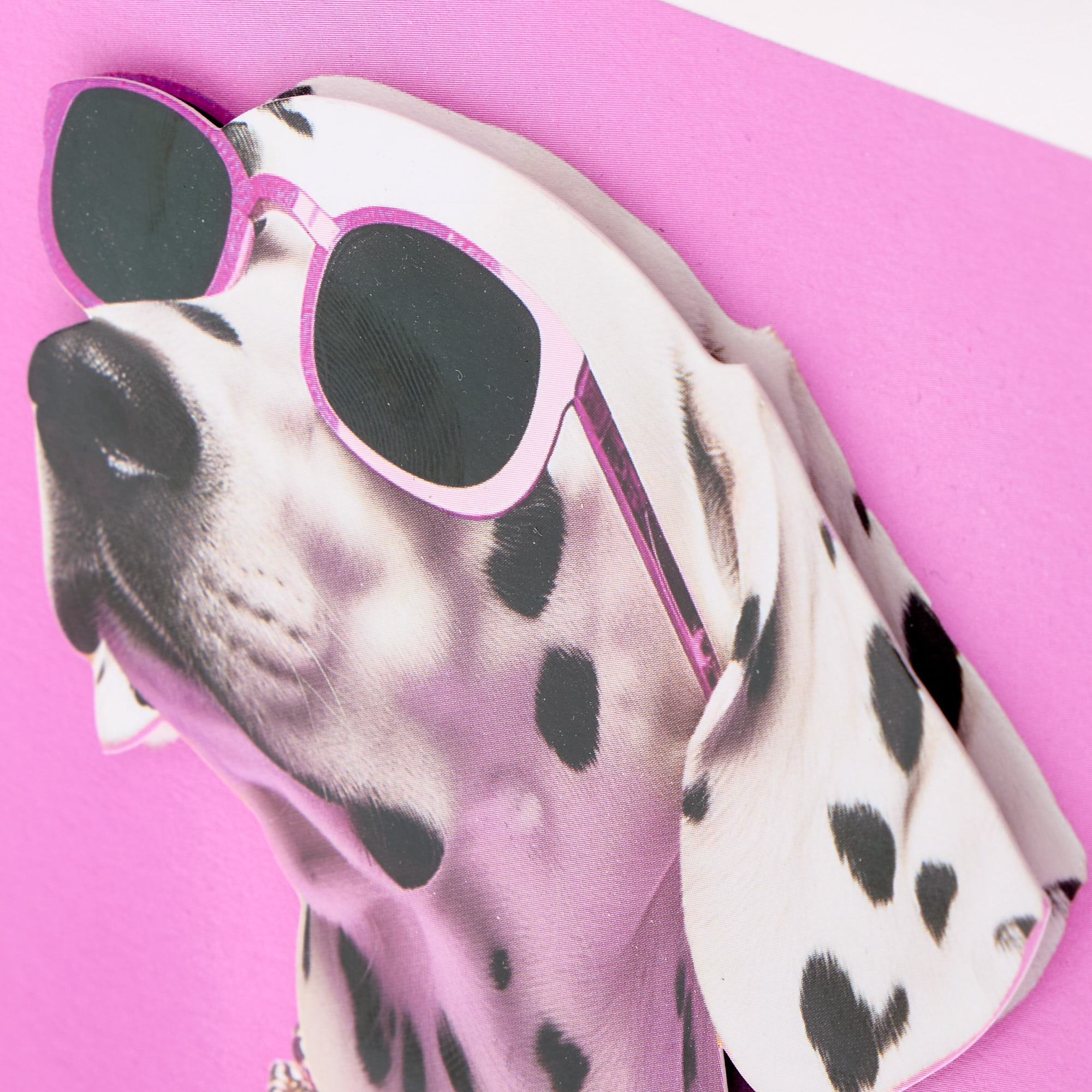 Dalmatian Any Occasion Card 